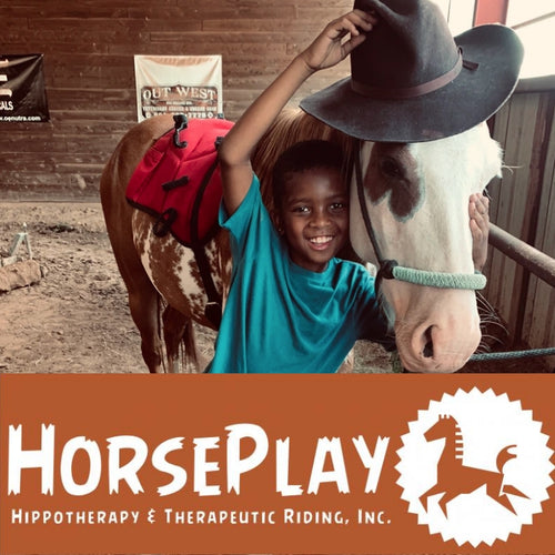 Photo of child with horse from HorsePlay Hippotherapy Nonprofit